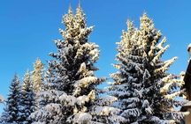 Private Snowshoeing Vitosha for 1 day
