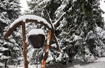 Private Snowshoeing Vitosha for 1 day