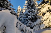 Private Snowshoeing Vitosha for 1 day