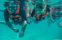 Marine Turtle Snorkeling Private Tour
