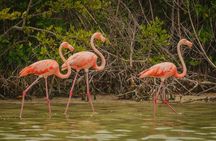Ek Balam, Rio Lagartos Private Tour