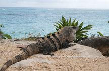 Tulum & Coba Private Tour