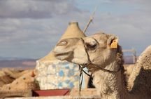 3 Days Trip: Valleys of Southeast Morocco & Erg Chebbi From Marrakech