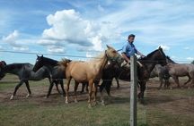 Fiesta Gaucha en Estancia - Day Ranch Gaucho Barbeque 