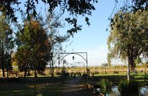 Fiesta Gaucha en Estancia - Day Ranch Gaucho Barbeque 