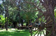 Fiesta Gaucha en Estancia - Day Ranch Gaucho Barbeque 