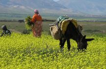 Private Day Trip to the Zat Valley from Marrakech.