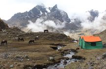 Lares Tour to Machu Picchu (8 Days)