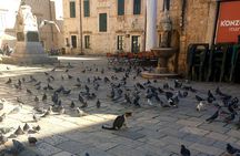 Private Early Morning Dubrovnik Tour