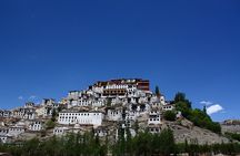 Full Day Leh Monasteries Tour (Shey, Thiksey & Hemis)