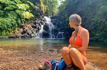 4 Hour Half Day Island Jeep Tour