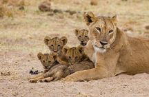 The Ultimate Safari in Tanzania