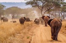 The Ultimate Safari in Tanzania