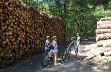 The Train Track Trail Mountain Bike Ride - Private experience