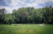 The Train Track Trail Mountain Bike Ride - Private experience
