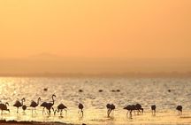 3-Days Lake Manyara, Ngorogoro Crater, Tarangire National Park