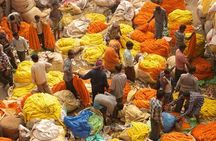 Kolkata - Sounds and Sights - Private Full Day City Tour
