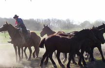 Experience the life of the Argentine gaucho through its flavors