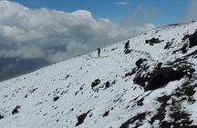 Cotopaxi National Park and Inca Ruins Day Trip