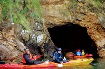 Electric Mountain Bike & Sea Kayak Tour in Akaroa
