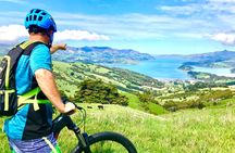Electric Mountain Bike & Sea Kayak Tour in Akaroa