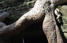 Private Half Day To Jungle Temple-Taprohm & Banteay Kdei Temples