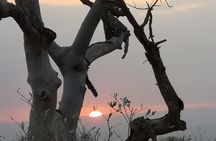 Kruger National Park - Sunset Safari trip.