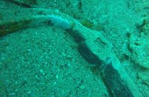 Underwater Archaeology Course