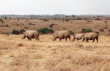 Mombasa & Diani: Group Day Trips to Tsavo Park