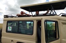 Mombasa & Diani: Group Day Trips to Tsavo Park
