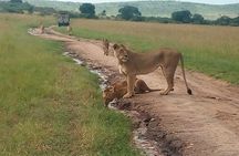 Mombasa & Diani: Group Day Trips to Tsavo Park