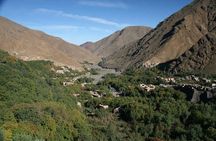 Marrakesh Day Excursion to Atlas Mountains Valley