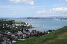 Auckland Scenic Day Tour Full-Day- 8 HOURS