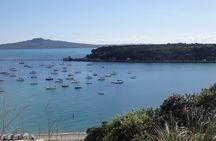 Shore Excursion: Auckland Scenic Full Day Tour - 8 Hours