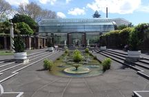 Shore Excursion: Half Day Small Group Auckland Scenic Tour - 4 HOURS