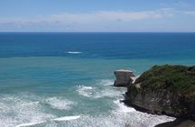Auckland Scenic Day Tour Full-Day- 8 HOURS