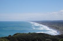 Auckland Scenic Day Tour Full-Day- 8 HOURS