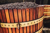 Small Tour Barossa Valley Voyager Tour from Adelaide