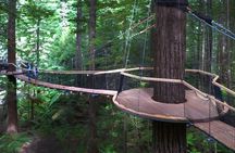 Tauranga to Rotorua Geysers & Canopy Tree Walk. Private Tour. 