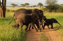 Tarangire National Park