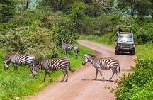 Tarangire National Park