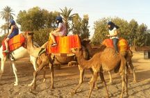 From Marrakech : 2-Day Tour to Zagora Desert.