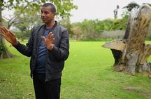 Durban: Visit a Museum of living Plants and a Sanctuary for Primates