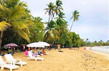 Rum Tasting plus Salines Paradise Beach