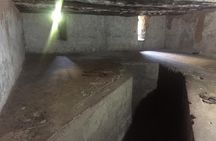 Stone Town, Spice Tour and Jozani Forest