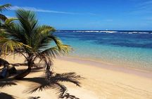 Private Day Trip from San Jose to Cahuita National Park (Caribbean Coast)