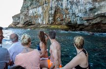 Afrikat Afternoon Cruise