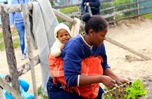 Cape Town Khayelitsha Township Tour
