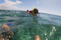 Reef Snorkeling with ATV, Zipline, Cenote that includes lunch and transportation