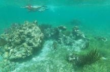 Reef Snorkeling with ATV, Zipline, Cenote that includes lunch and transportation